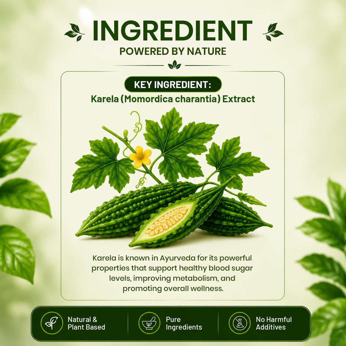 Pure Nutrition Karela 