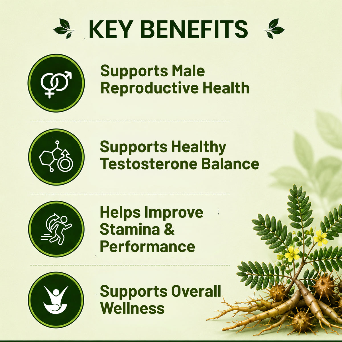  Pure Nutrition Naturals Gokshura 