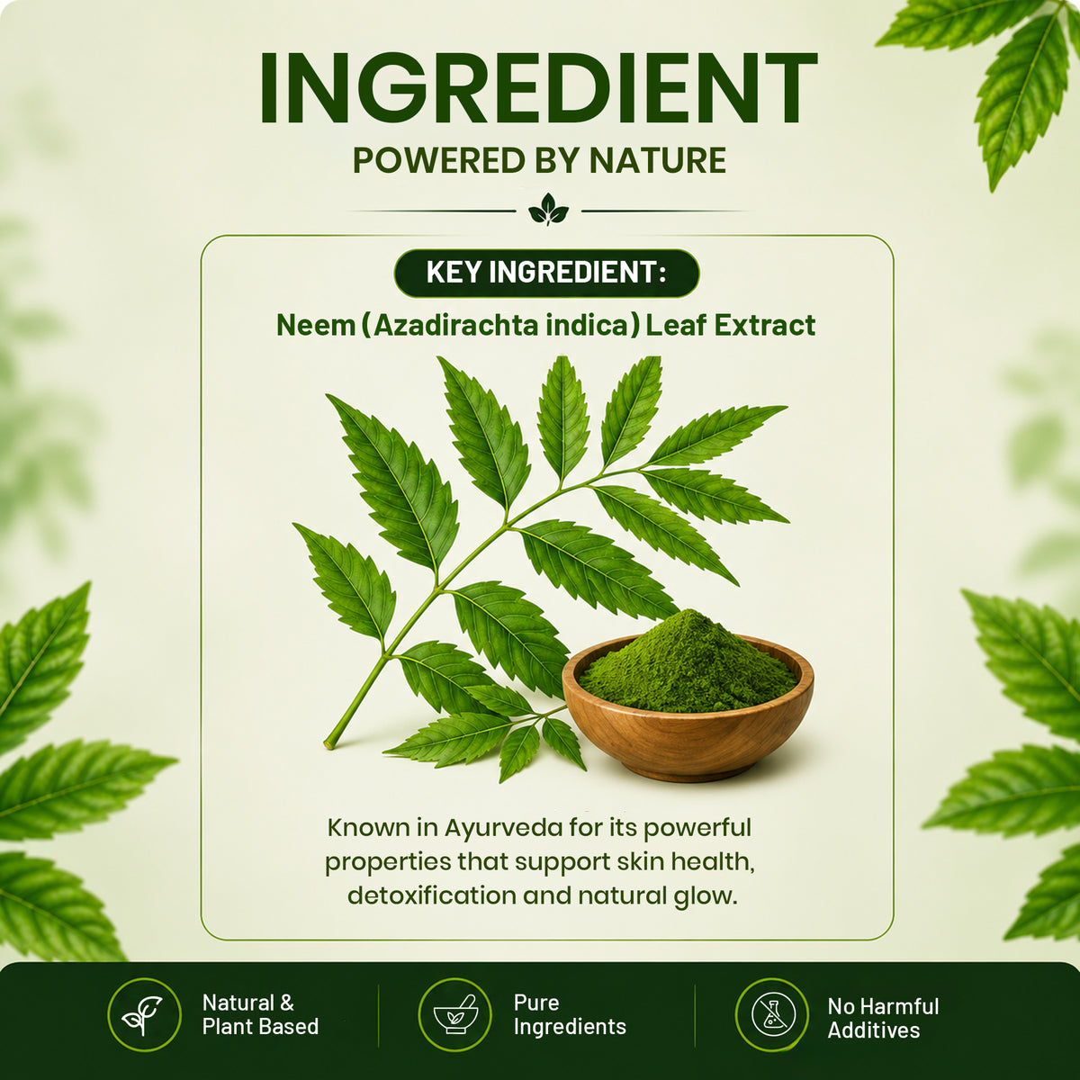 Pure Nutrition Neem Tablets | Ayurvedic Neem Extract Supplement | Supports Skin Wellness & Daily Detox Support 