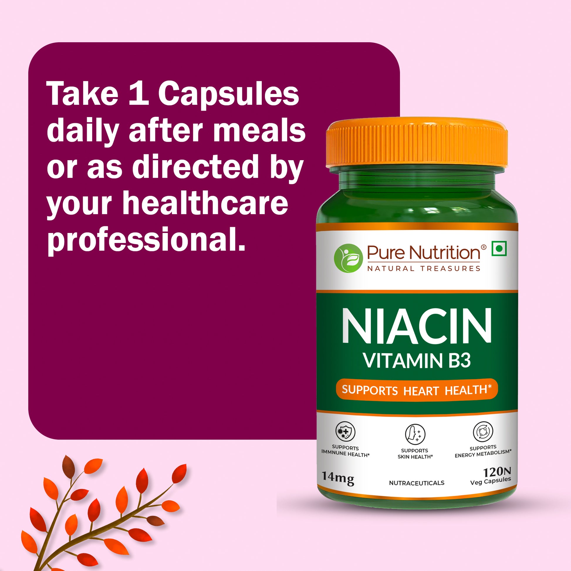 Pure Nutrition Vitamin B3 Niacin 