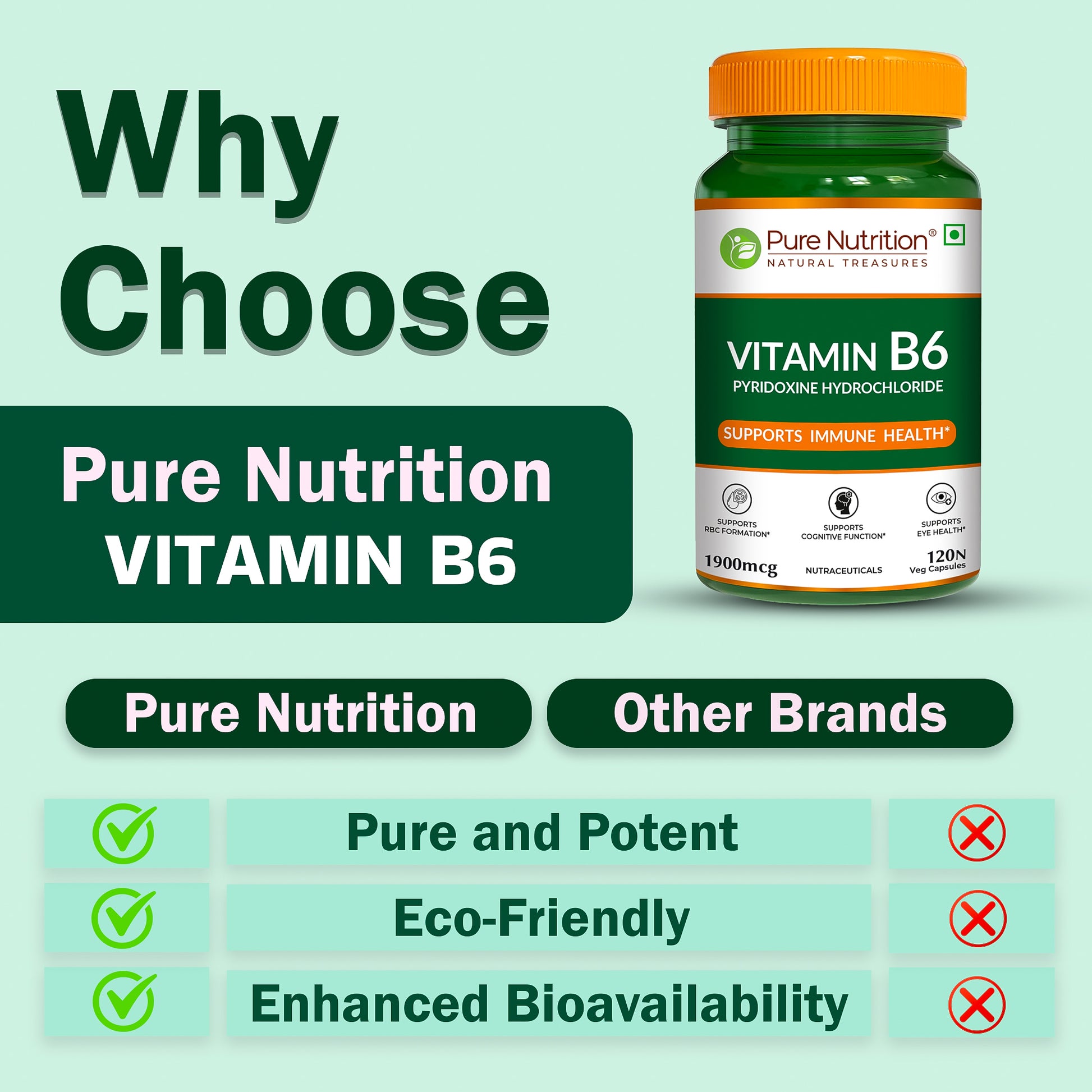 Pure Nutrition Vitamin B6