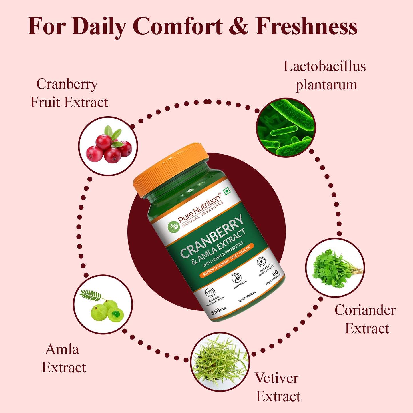 Cranberry and Amla Extract Capsules with Herbs & Probiotics – 60 Veg Capsules