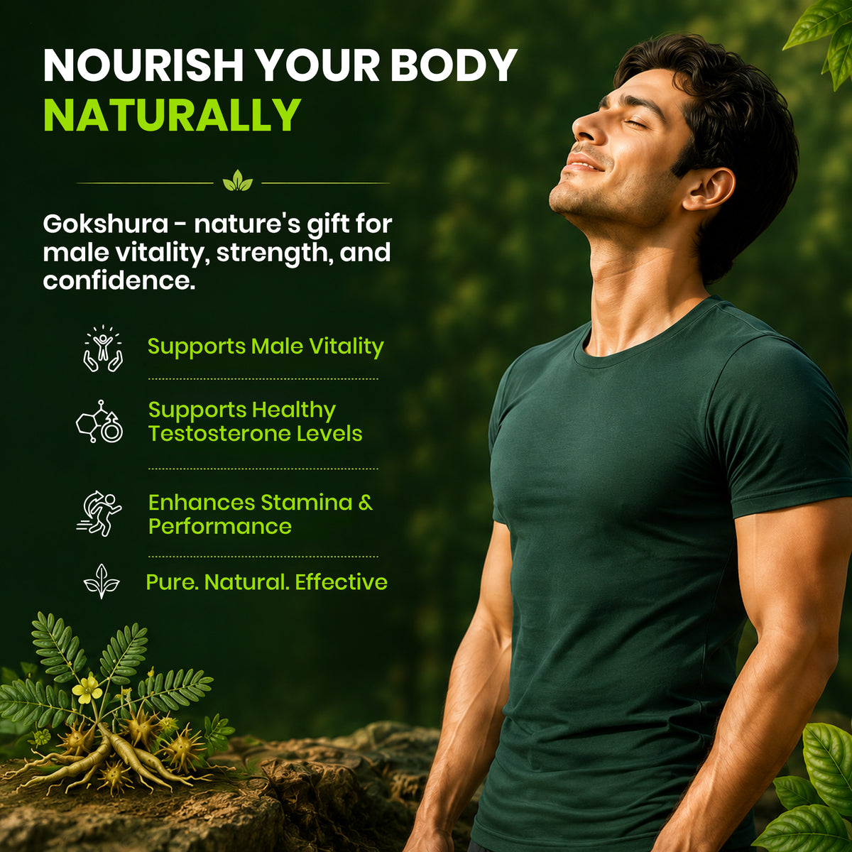  Pure Nutrition Naturals Gokshura 