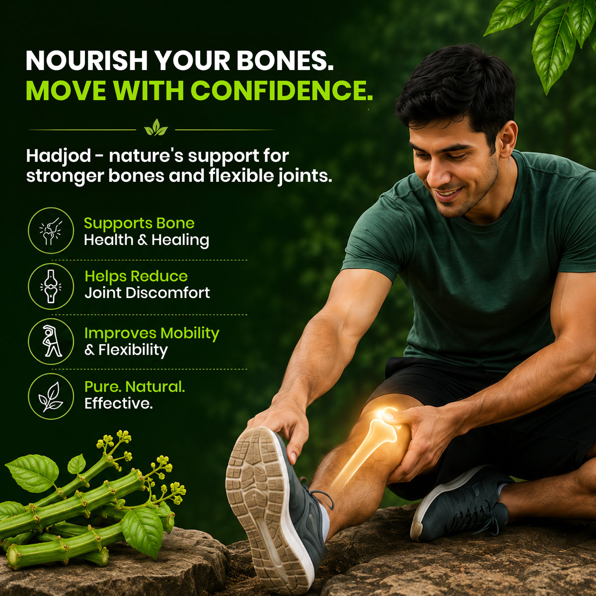 'Hadjod' by Pure Nutrition 