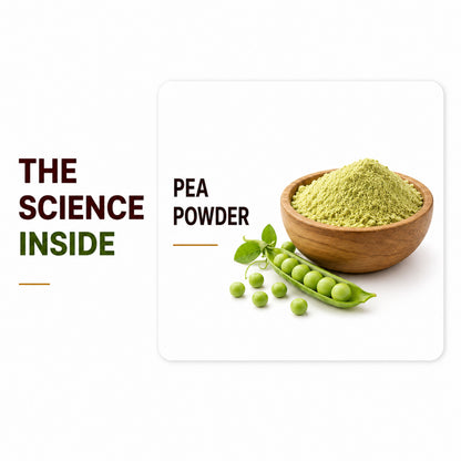 Close-up of natural pea protein powder in a wooden bowl next to fresh green peas, highlighting the scientific formulation.