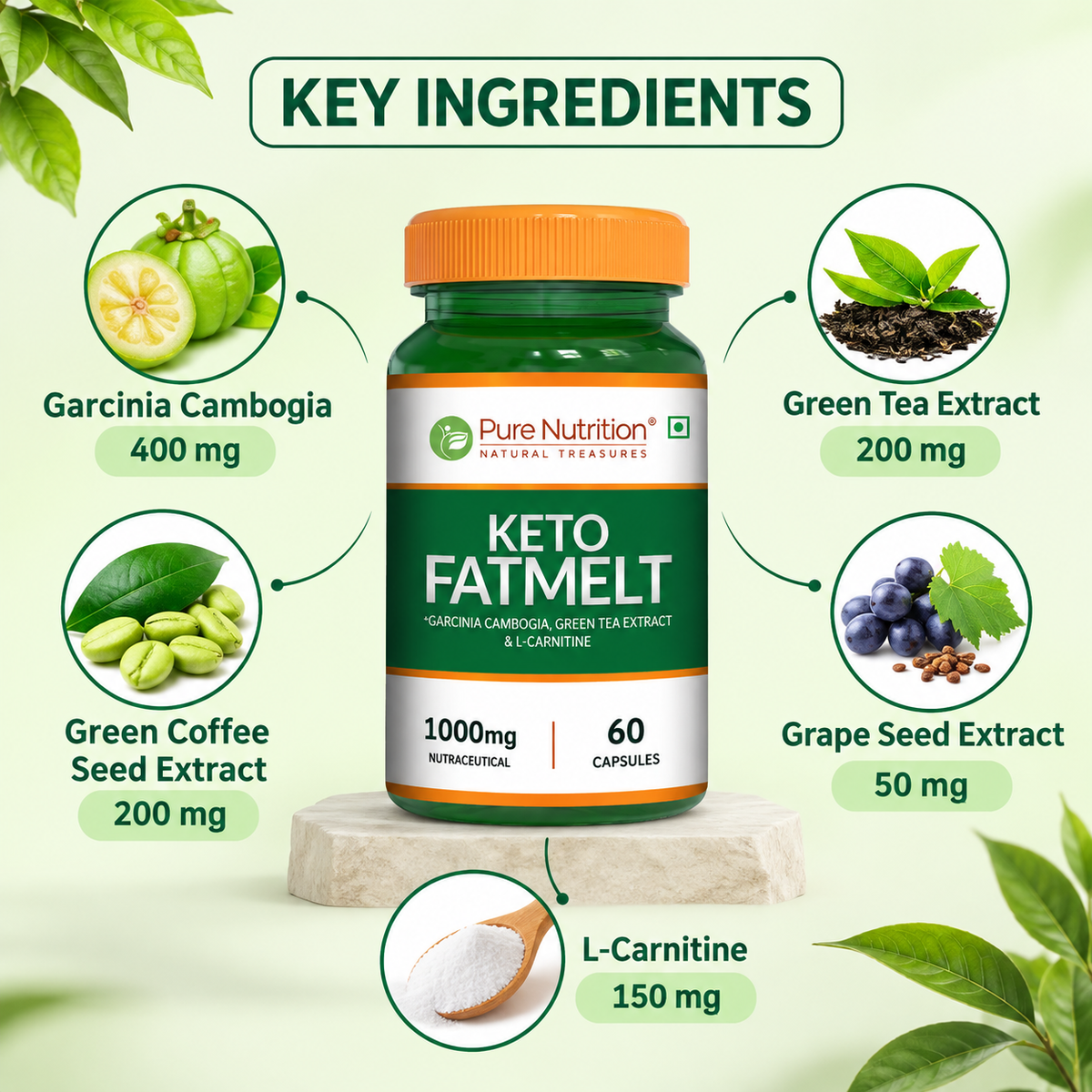 Pure Nutrition Keto Fatmelt key ingredients including Garcinia Cambogia Green Tea Green Coffee Grape Seed and L-Carnitine