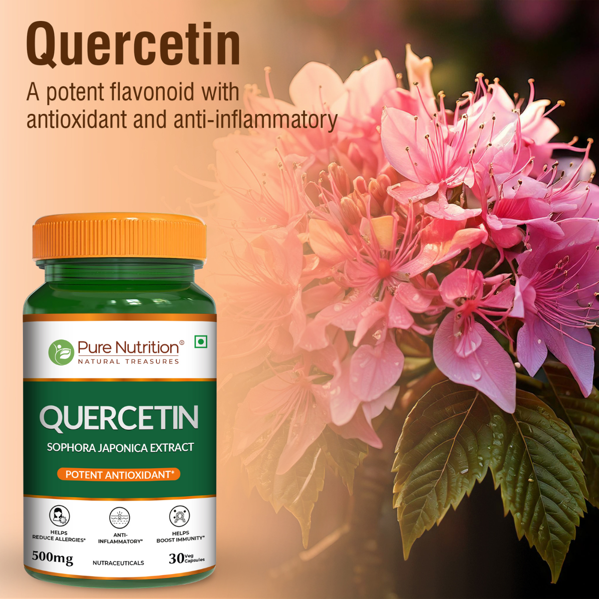 Quercetin 500mg – Antioxidant & Immune Support | 30 Veg Capsules